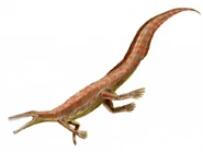 Mesosaurus.jpg (19 KB)