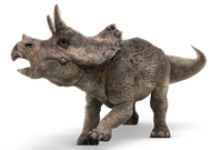 Triceratops-info-graphic