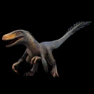 Utahraptor1.png (3,14 МБ)