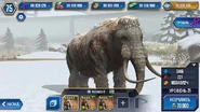 Level 21