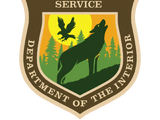 Department of Fish and Wildlife