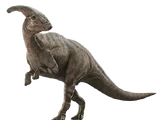 Parasaurolophus