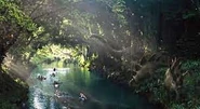 Crucero Cretácico