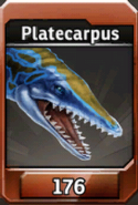 Platecarpus' icon