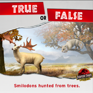 Smilodon true or false