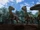 Baryonyx Pack