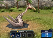 Hatzegopteryx Base.jpg (702 KB) Hatzegopteryx Base Form