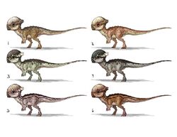 Pachycephalosaurus Jurassic Park Wiki Fandom