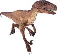 Velociraptor database image from Evolution 2.PNG