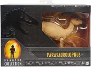 Parasaurolophus