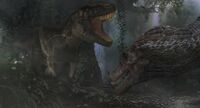 Carcha vs spino