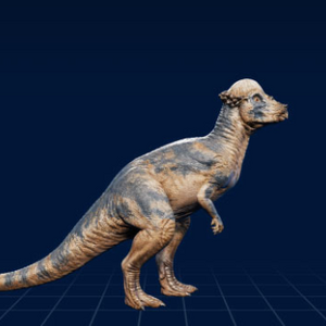 Pachycephalosaurus Jurassic Park Wiki Fandom Pachycephalosaurus Jurassic Park Wiki Fandom