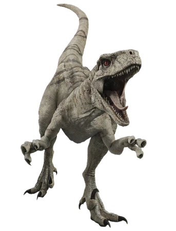 ゴースト(アトロキラプトル) | ジュラシック・パーク Wiki | Fandom