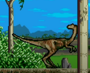 Gallimimus from the Rampage Edition.