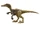 Austroraptor