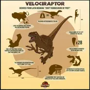 500x500 raptor poster.webp (45 kio)