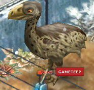 Jurassic-Park-Builder-Phorusrhacos-Evolution-2-Baby.png (169 KB) Level 11-15 Phorusrhacos