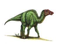 Prosaurolophus-Robert-F.-Walters