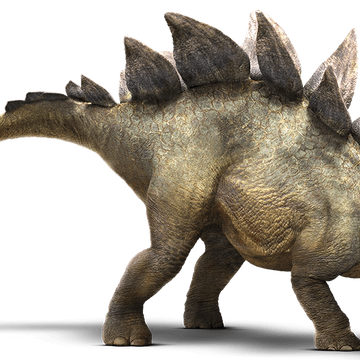 Stegosaurus Jurassic Park Wiki Fandom