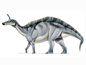 Tsintaosaurus-1