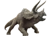 トリケラトプス