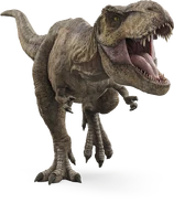 FQ-Zp1DWQAE7Etf.png (508 КБ)