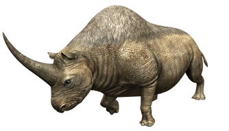 JWA PressKit Elasmotherium