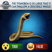 23755282 1529453833828513 2398065866763268294 n.png (410 KB)