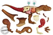 T. rex dissection kit