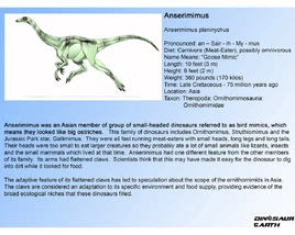 Anserimimus orig