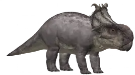 Pachyrhinosaurus 