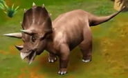 Triceratops (Adult) (Lvl. 5-10).jpg (40 KB) Triceratops (Adult) (Level 5 to 10) in Jurassic Park: Builder.