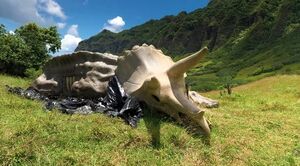 Triceratops skelton fallen kingdom