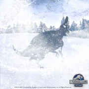 チンタオ ザゲーム2