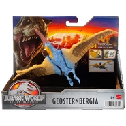 Geosternbergia