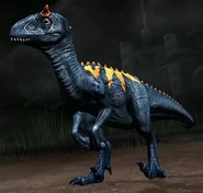 Carnoraptor2.jpg (33 KB) Brawlasaur version