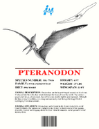 Ingen Dinosaur Info Sheets Pteranodon