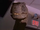 Randy