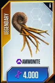 Ammonite card