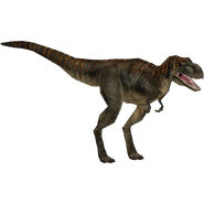 JPOG Albertosaurus2