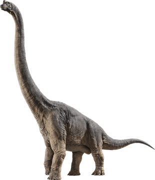 Tyrannosaurus Brachiosaurus Velociraptor Triceratops Jurassic Park,  Brachiosaurus, fauna, terrestrial Animal, jurassic png