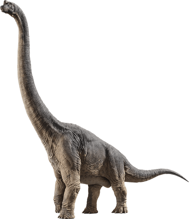 Brachiosaurus Jurassic Park Wiki Fandom