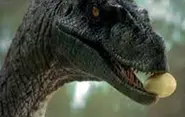 000000000000000000000000000000000000000000000000000000000000000000000000000000000000000000.webp (13 kio)