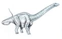 Apatosaurus1