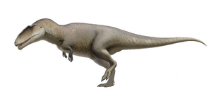 Carcharodontosaurus