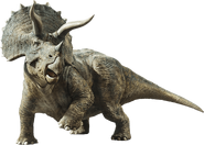 Jurassic world fallen kingdom triceratops by sonichedgehog2-dc9dwcu