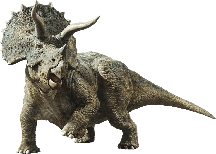 Triceratops (Jurassic Park, The Lost World, Jurassic Park 3)