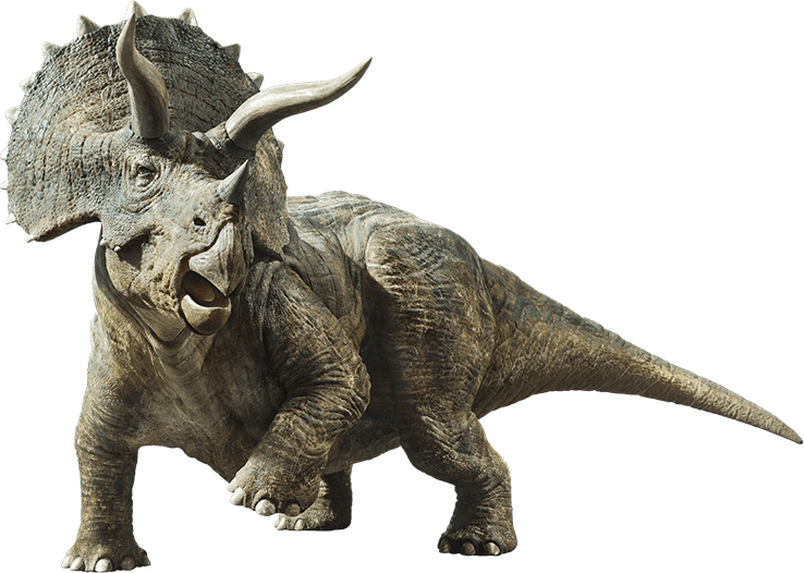 Triceratops Jurassic Park Wiki Fandom