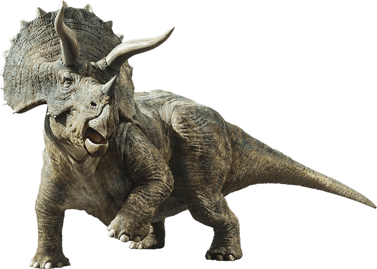 Triceratops, Jurassic Park Wiki