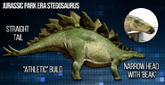 Stegosaurus 73121086 402514420428314 3523519916130959360 n-768x393